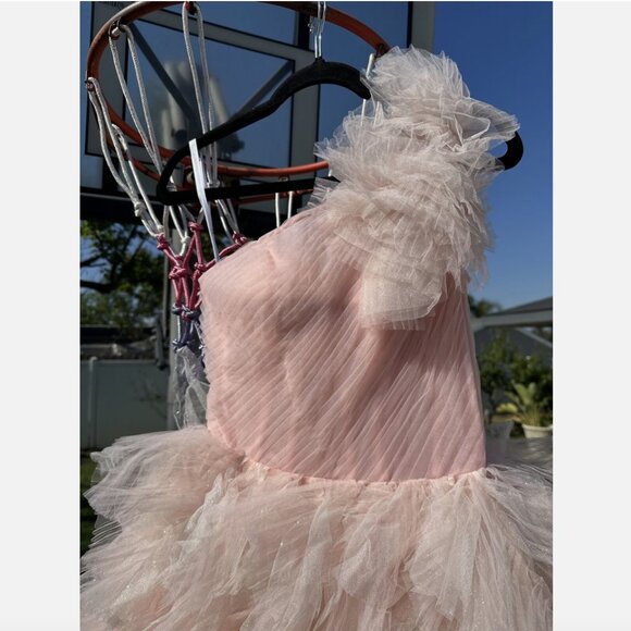 NEW $998 Mac Duggal [ 2 ] Corset One Shoulder Glitter Tulle Gown Light Pink Q754 - Picture 9 of 15